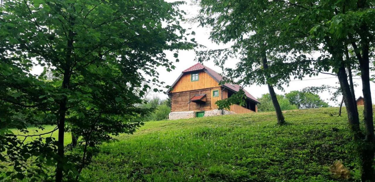 Bakina Iza Villa Duga Resa Exterior photo