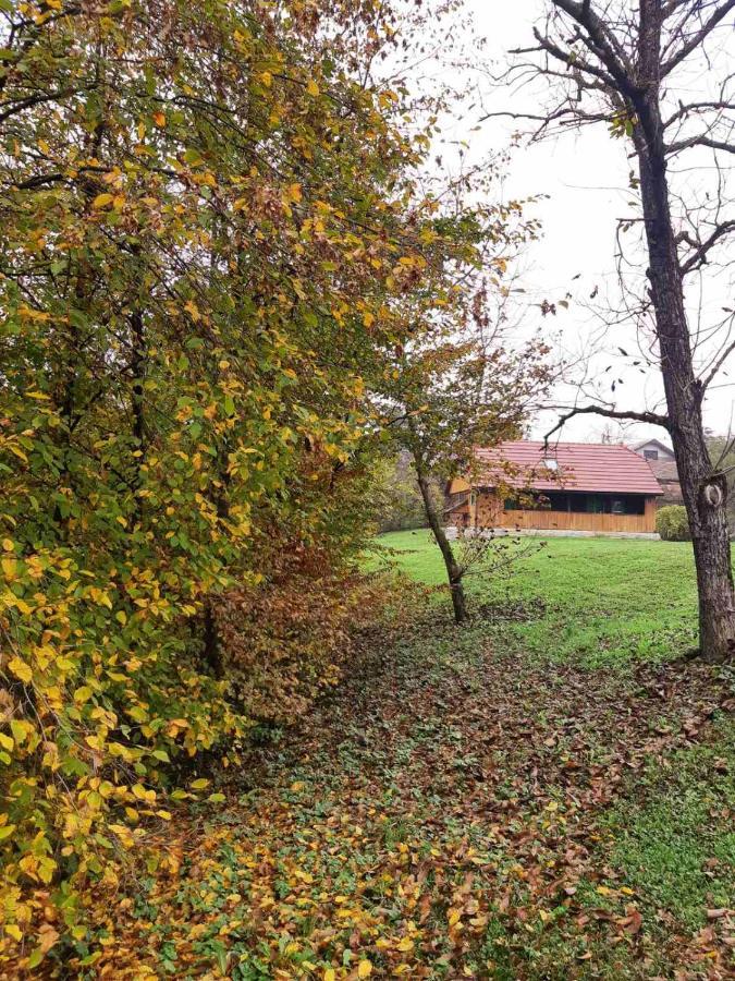 Bakina Iza Villa Duga Resa Exterior photo