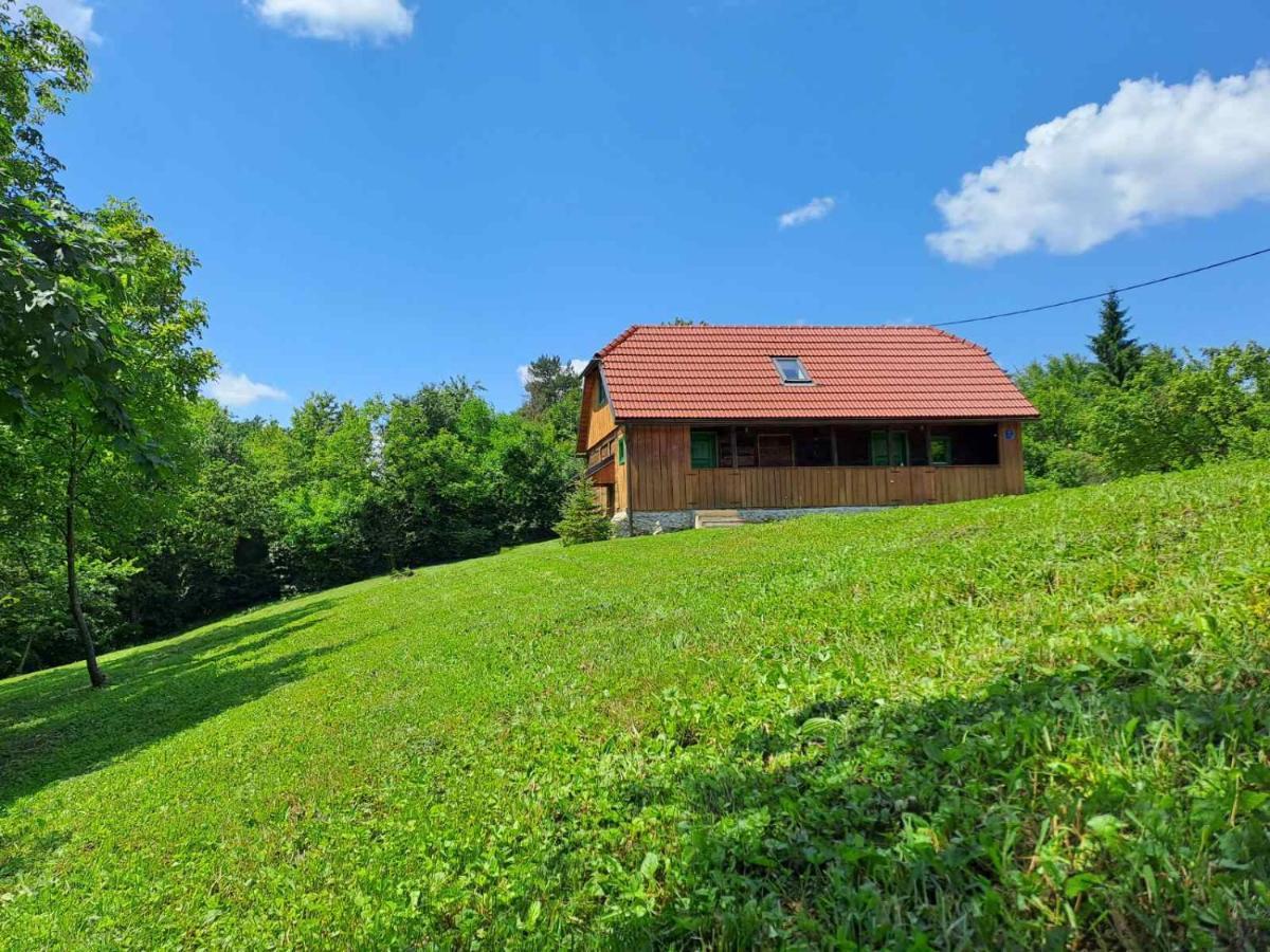 Bakina Iza Villa Duga Resa Exterior photo